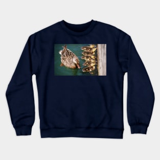 Getting Your Ducks In A Row.... Crewneck Sweatshirt